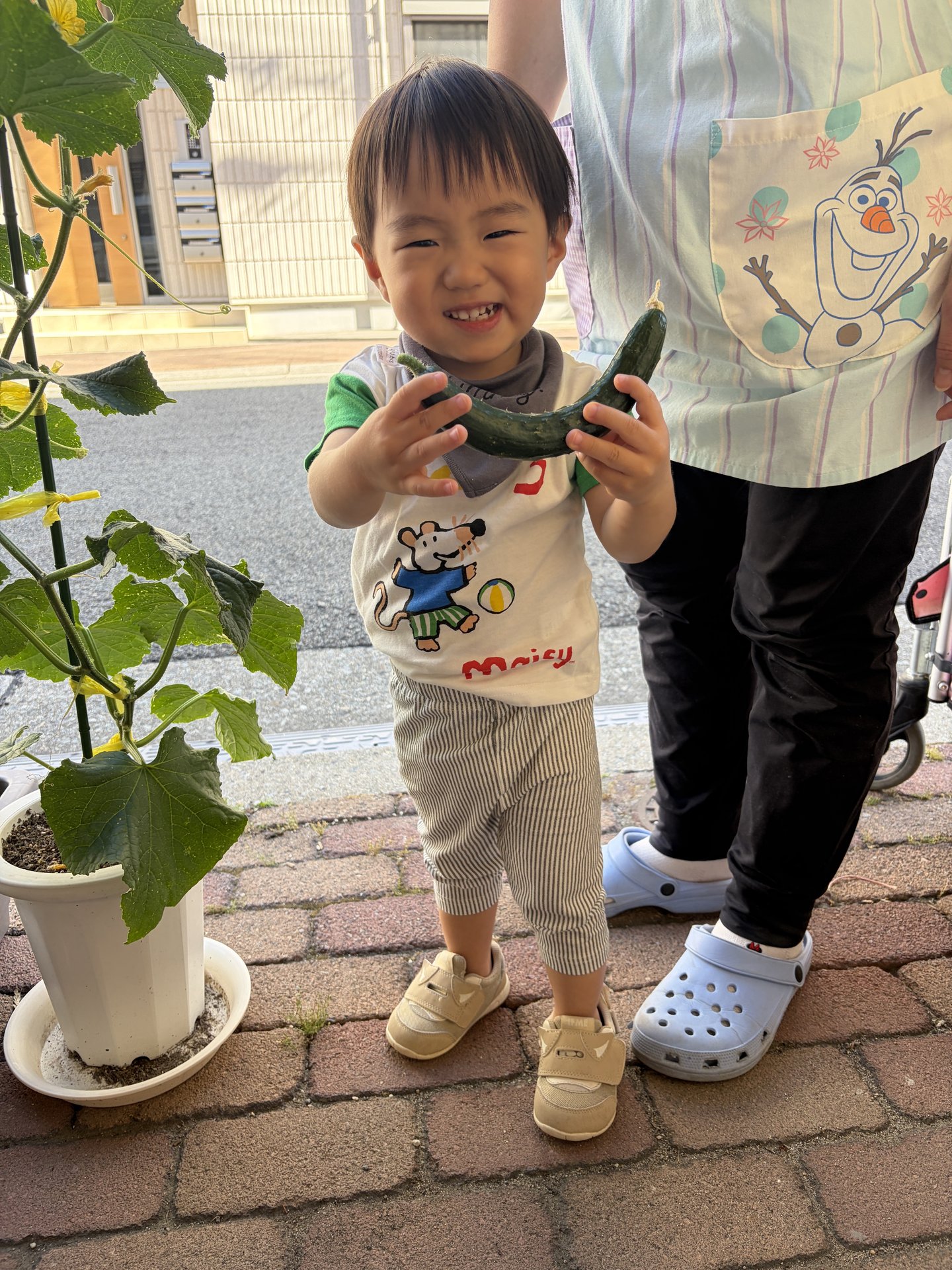 保育に関する考え